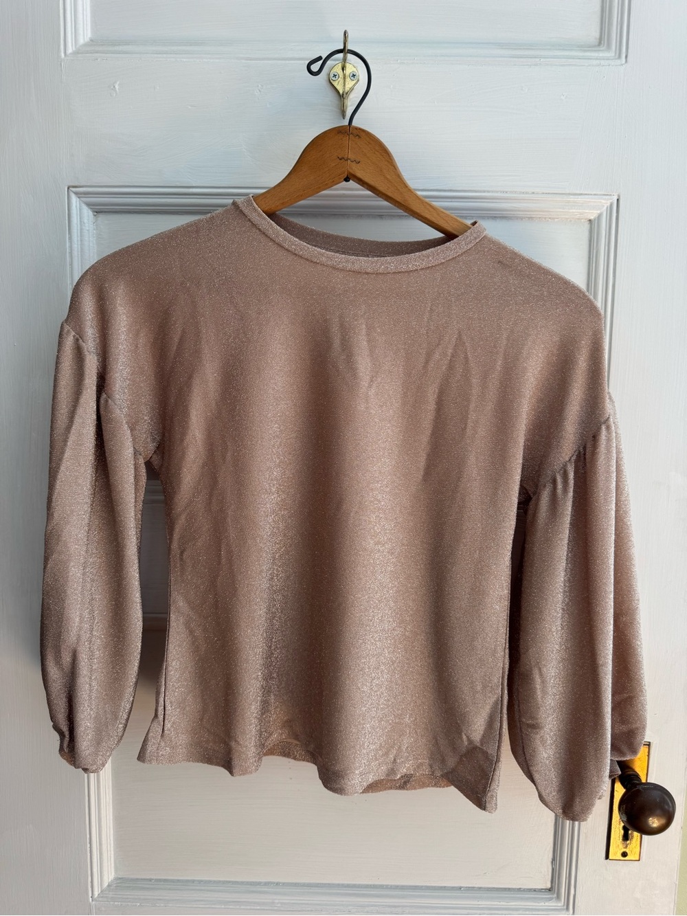 Shimmery Gold/Taupe Puff-Sleeve Top